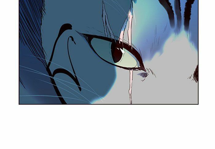 Hoá Thân Thành Mèo: Chapter 11