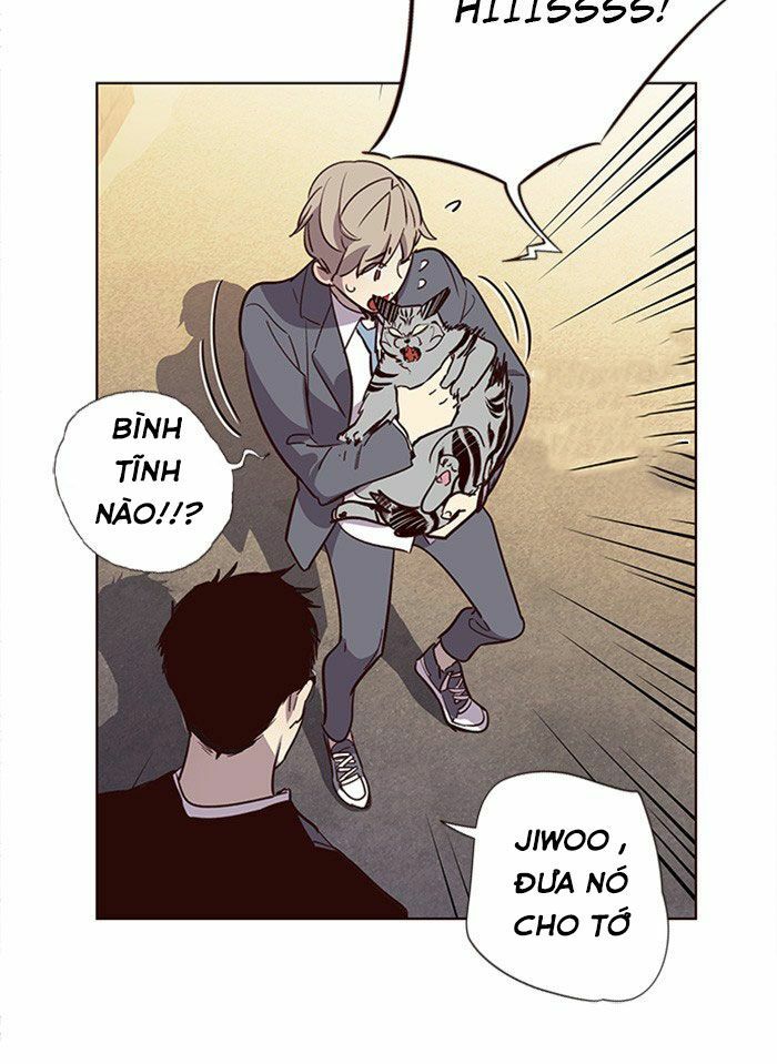 Hoá Thân Thành Mèo: Chapter 11