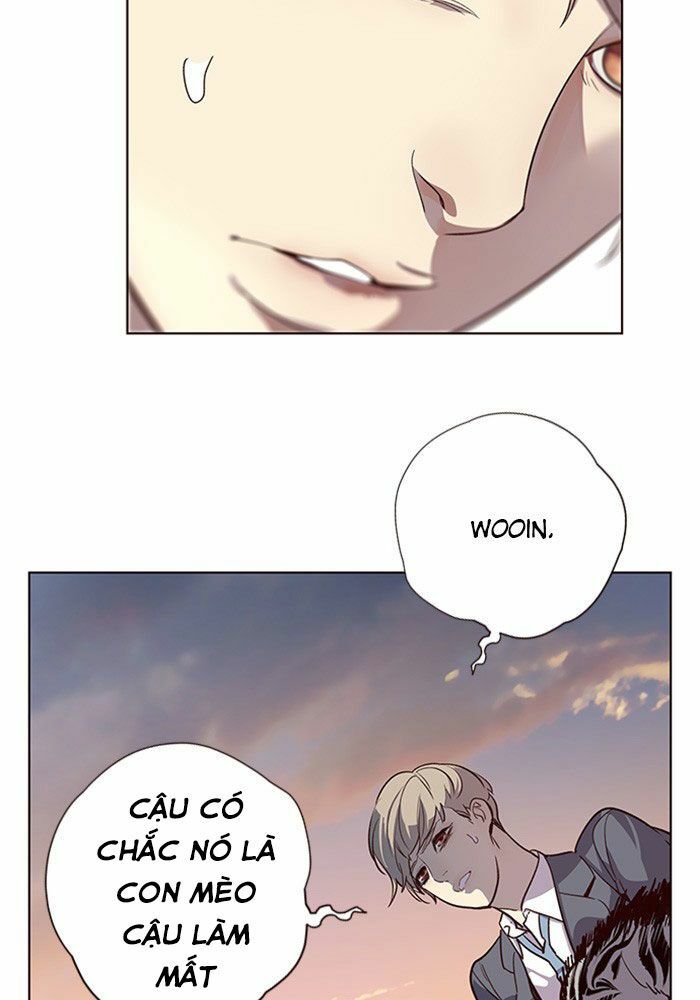 Hoá Thân Thành Mèo: Chapter 11