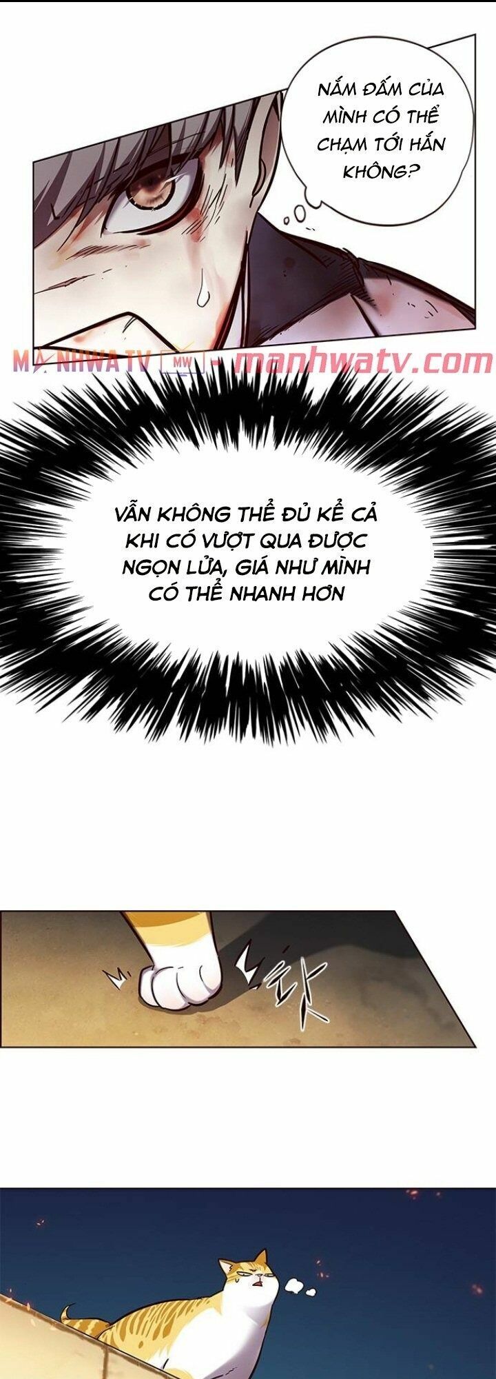 Hoá Thân Thành Mèo: Chapter 110