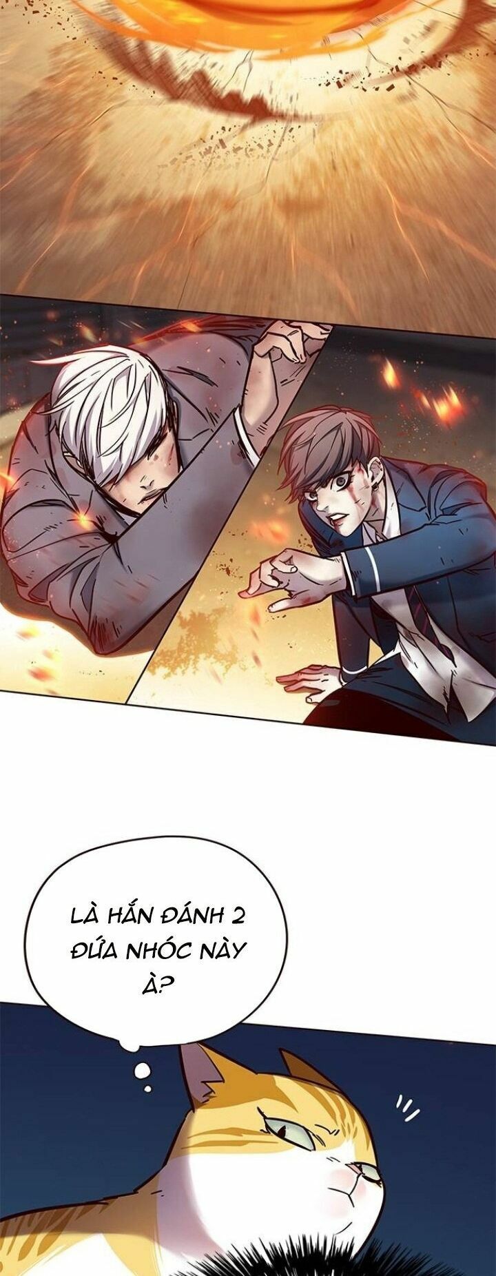 Hoá Thân Thành Mèo: Chapter 110
