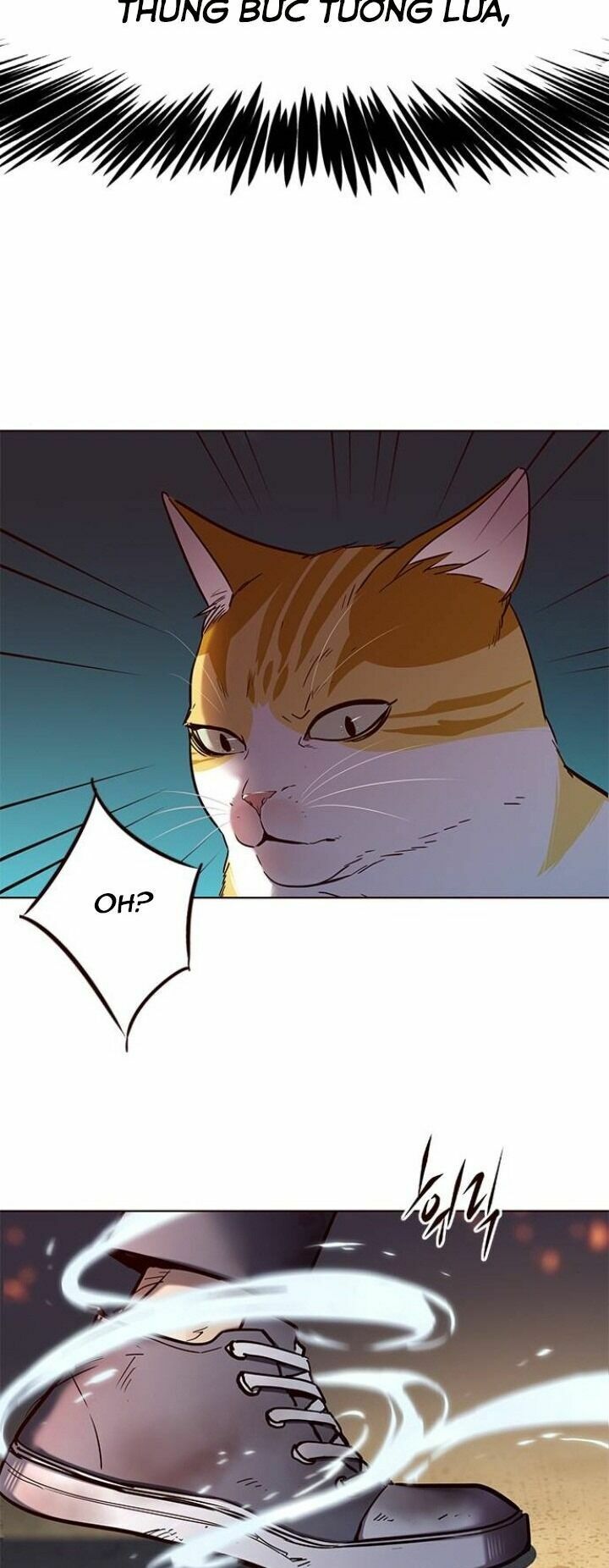 Hoá Thân Thành Mèo: Chapter 110