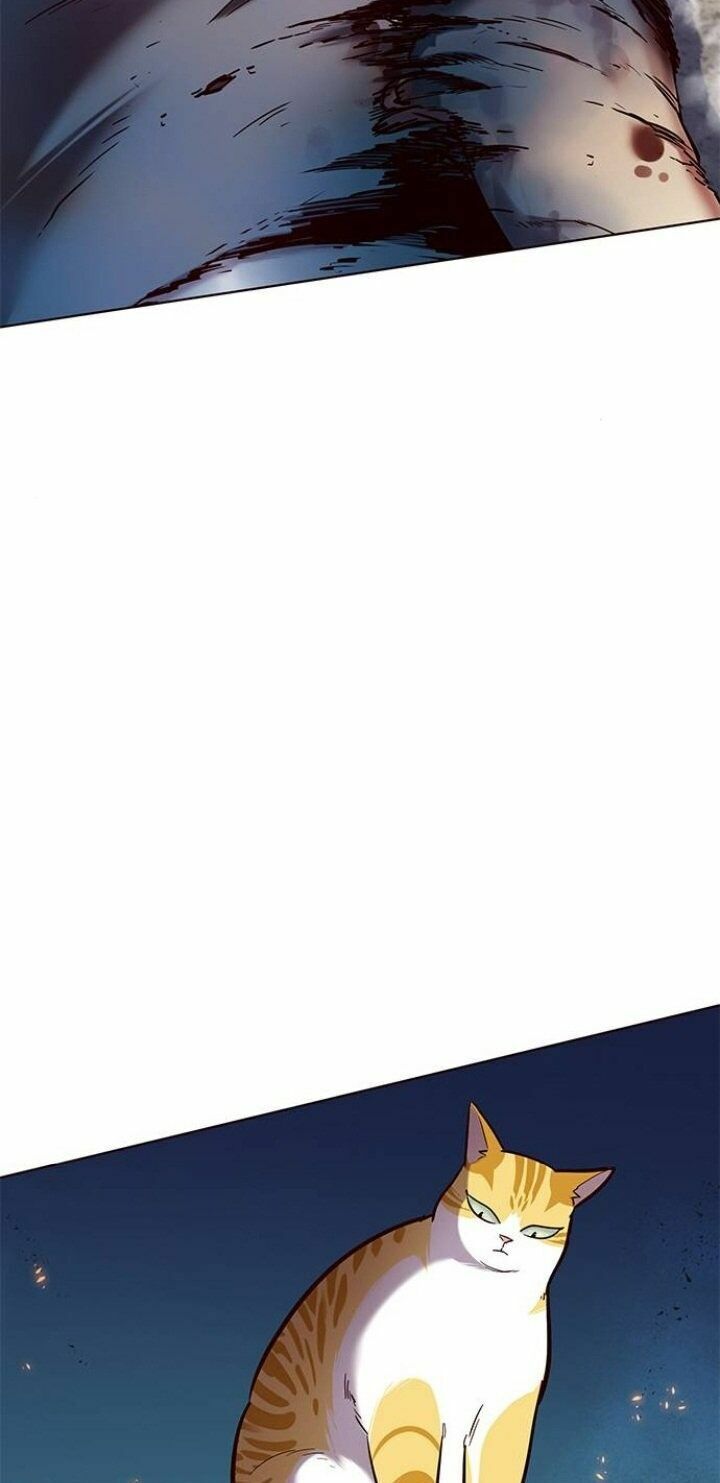 Hoá Thân Thành Mèo: Chapter 110