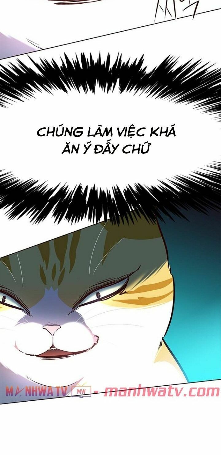 Hoá Thân Thành Mèo: Chapter 110