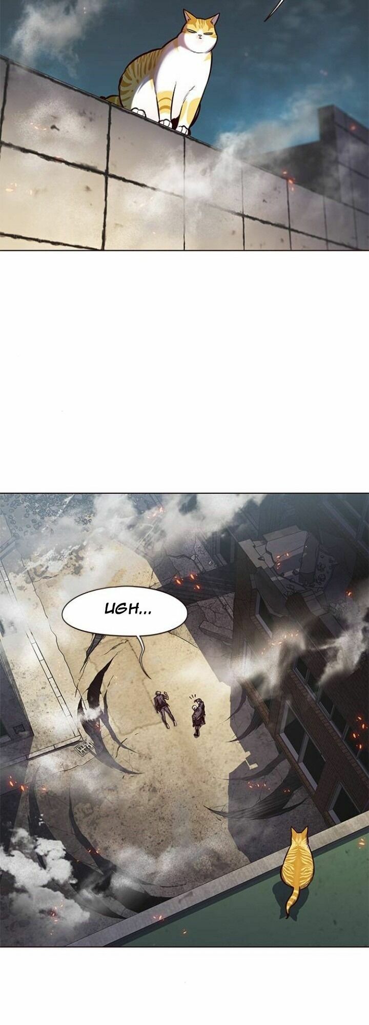 Hoá Thân Thành Mèo: Chapter 111