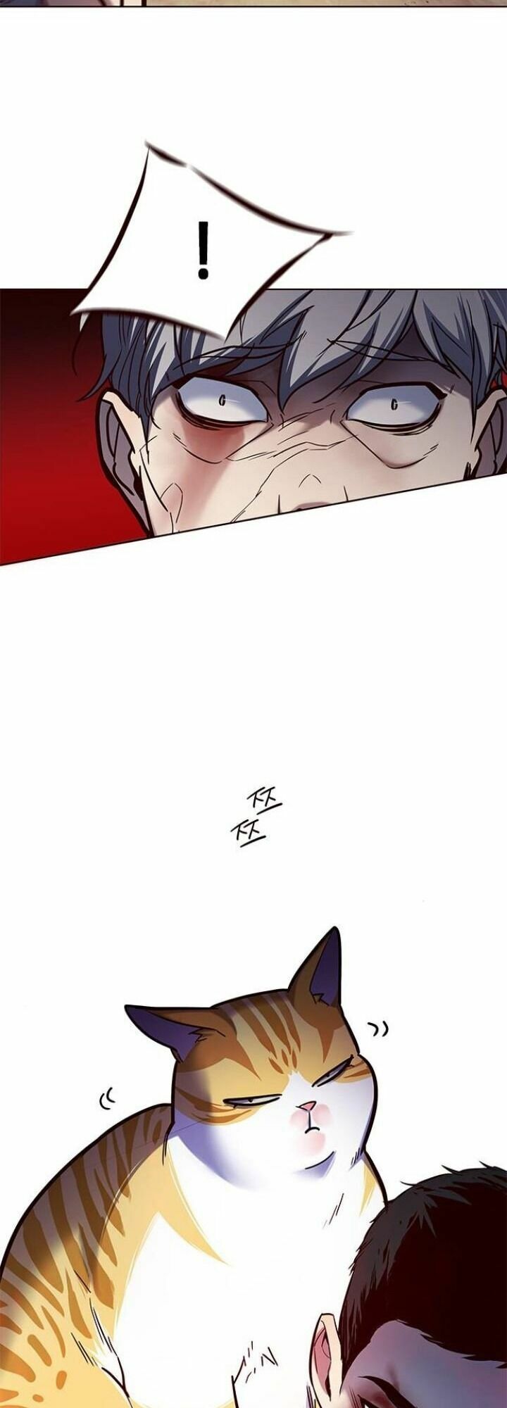 Hoá Thân Thành Mèo: Chapter 112