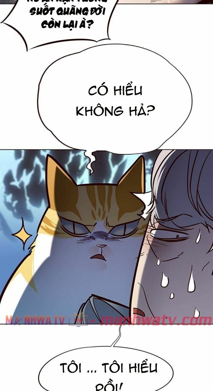 Hoá Thân Thành Mèo: Chapter 112