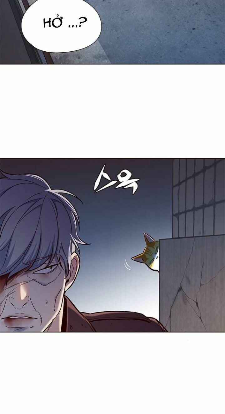 Hoá Thân Thành Mèo: Chapter 112