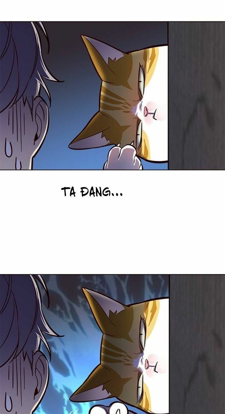 Hoá Thân Thành Mèo: Chapter 112