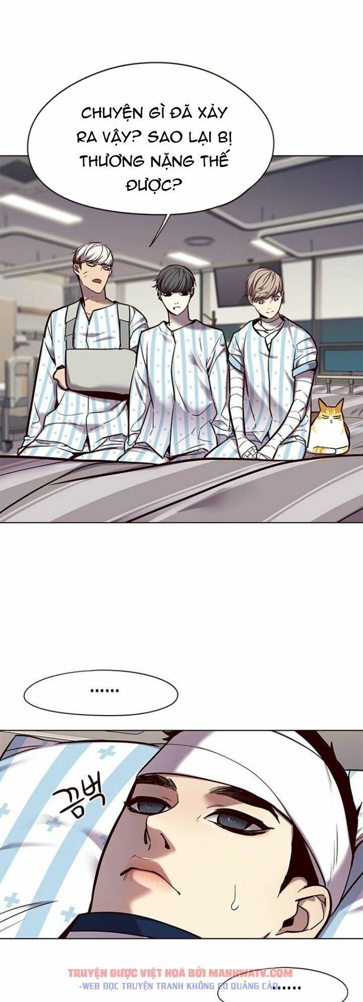 Hoá Thân Thành Mèo: Chapter 113
