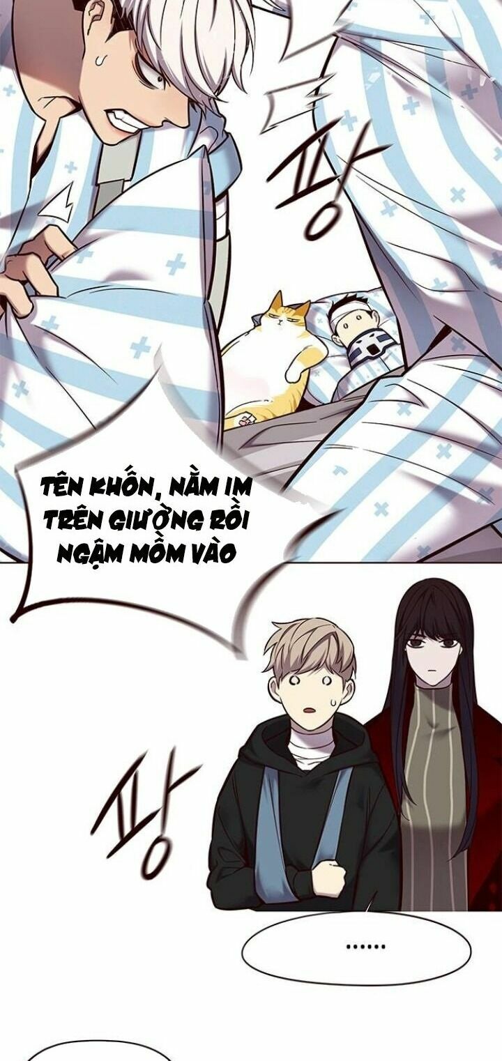Hoá Thân Thành Mèo: Chapter 115