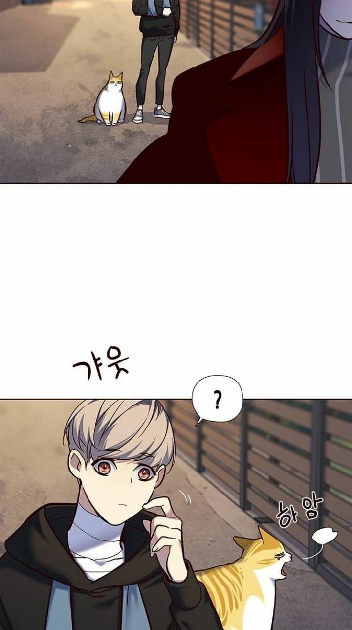 Hoá Thân Thành Mèo: Chapter 115