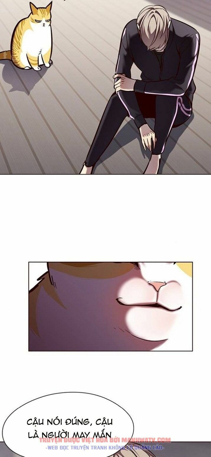 Hoá Thân Thành Mèo: Chapter 116