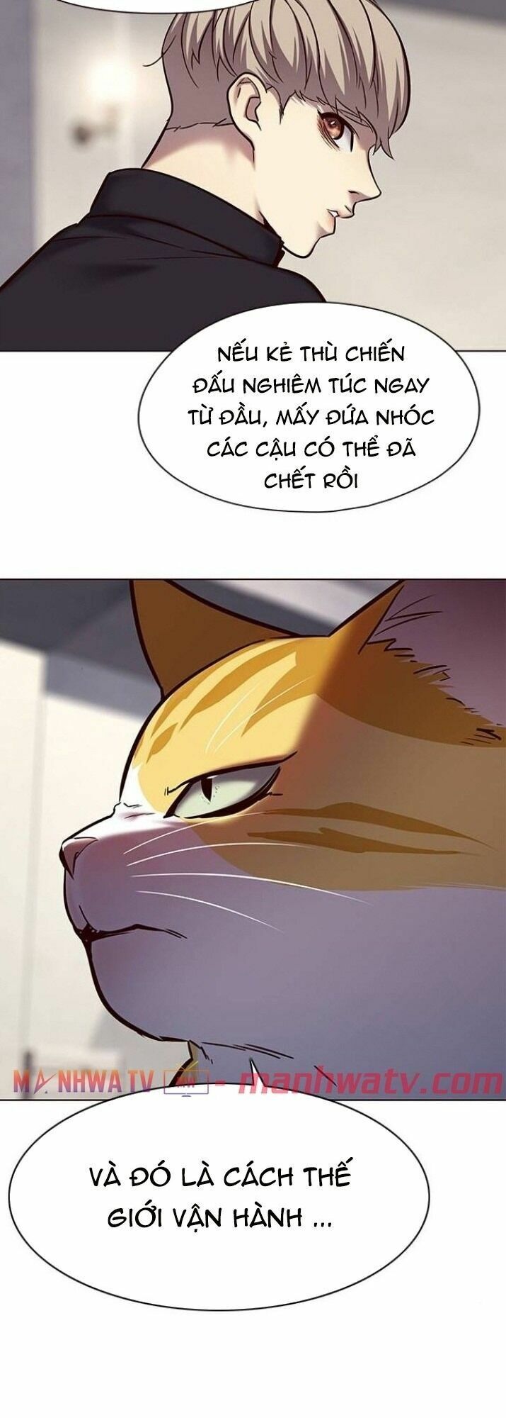 Hoá Thân Thành Mèo: Chapter 116