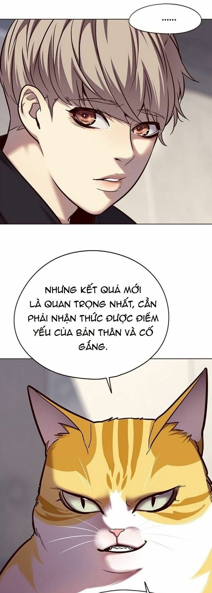 Hoá Thân Thành Mèo: Chapter 116