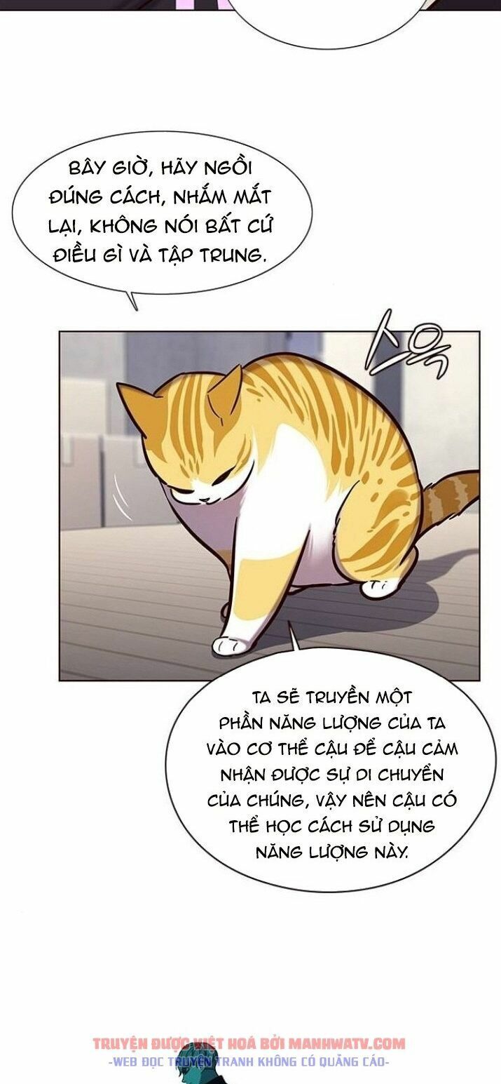 Hoá Thân Thành Mèo: Chapter 116