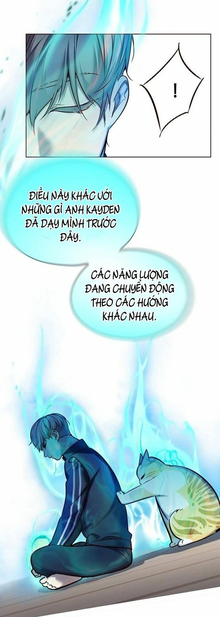 Hoá Thân Thành Mèo: Chapter 116