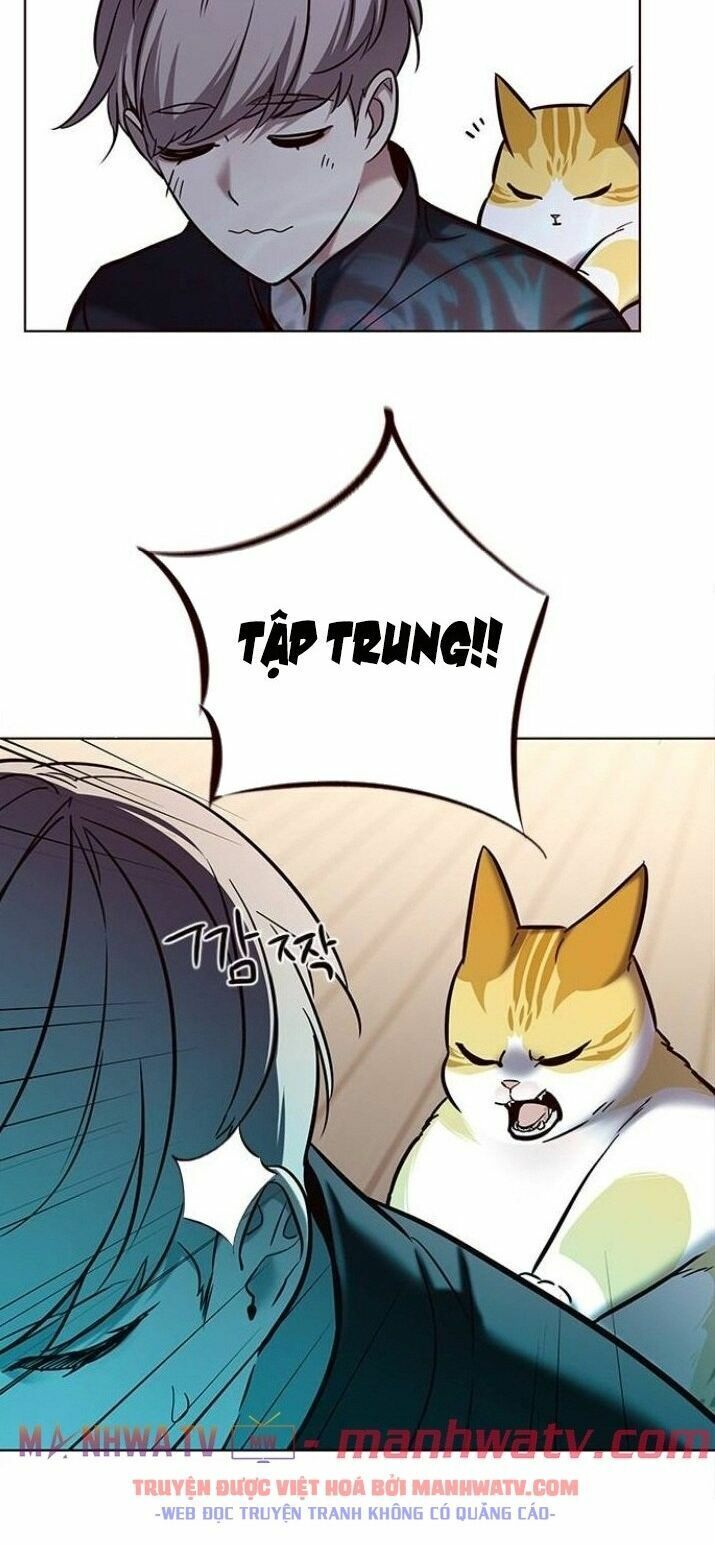 Hoá Thân Thành Mèo: Chapter 116