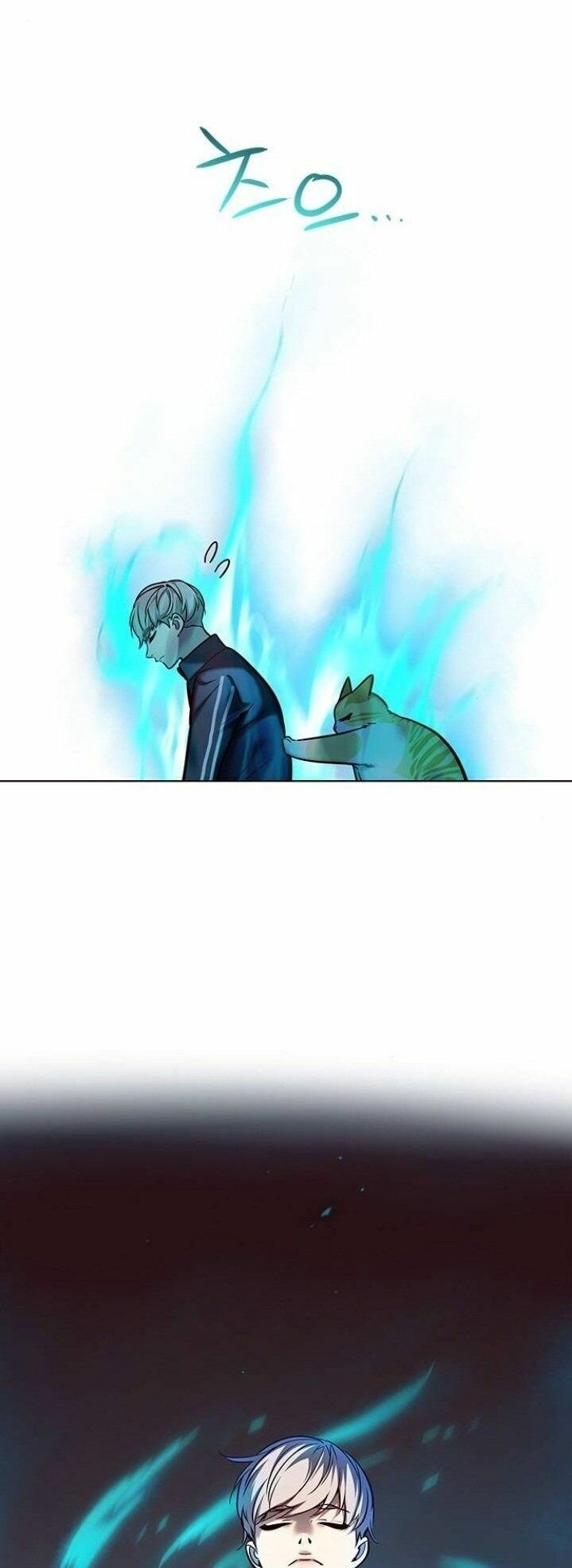 Hoá Thân Thành Mèo: Chapter 116