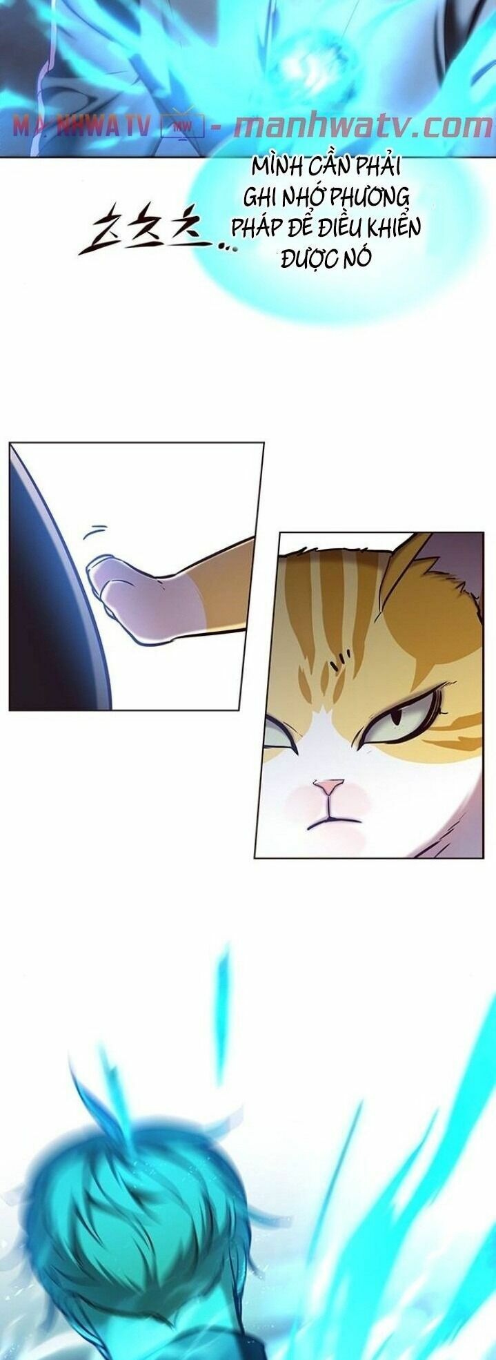 Hoá Thân Thành Mèo: Chapter 116