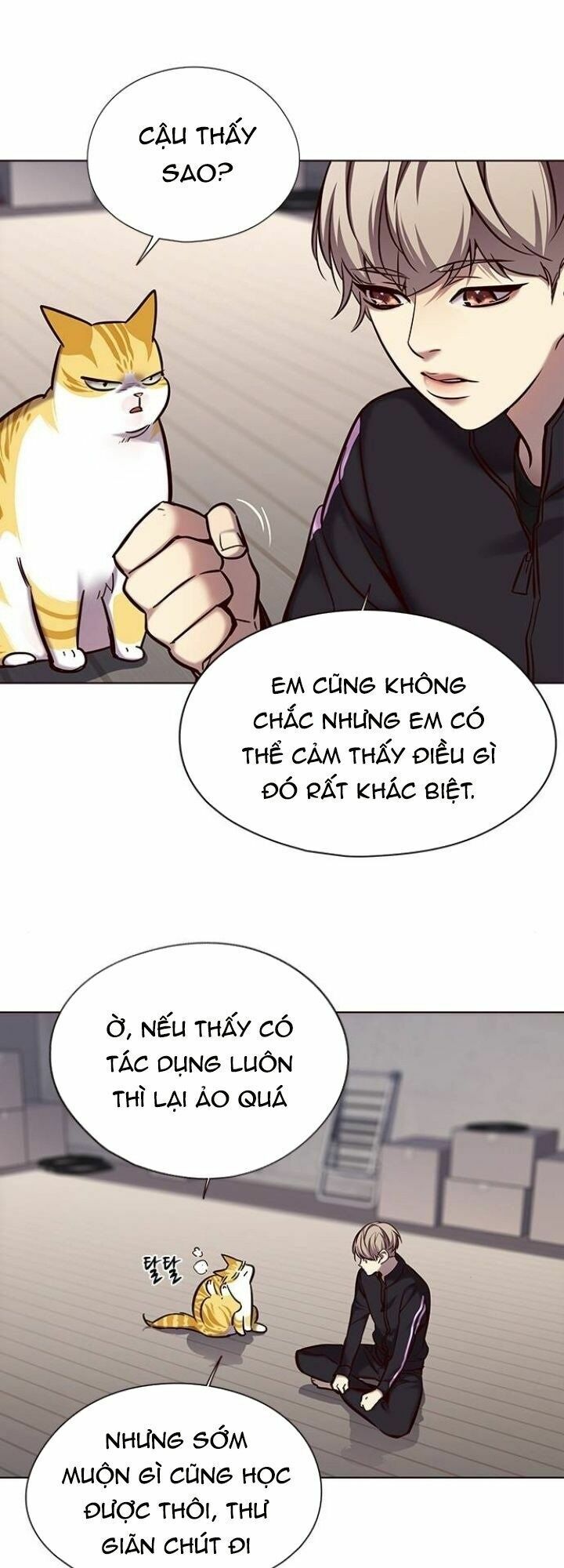 Hoá Thân Thành Mèo: Chapter 116