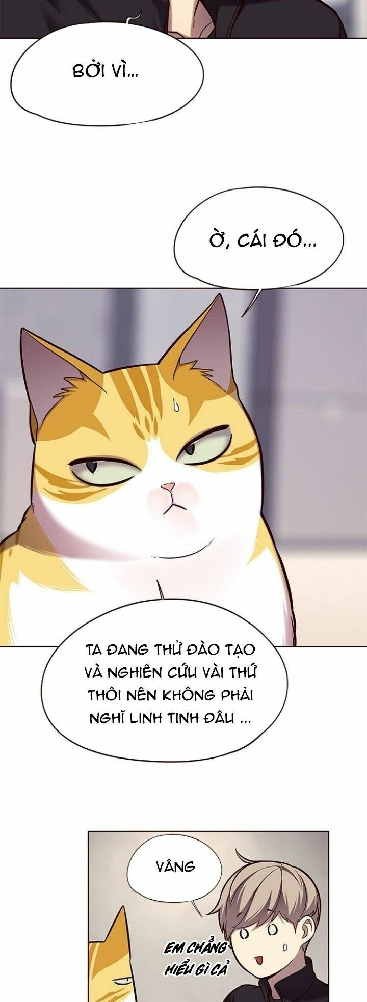 Hoá Thân Thành Mèo: Chapter 116