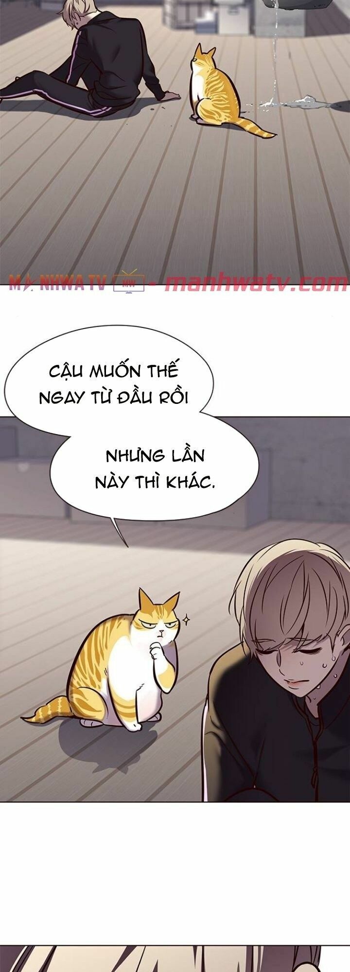 Hoá Thân Thành Mèo: Chapter 116