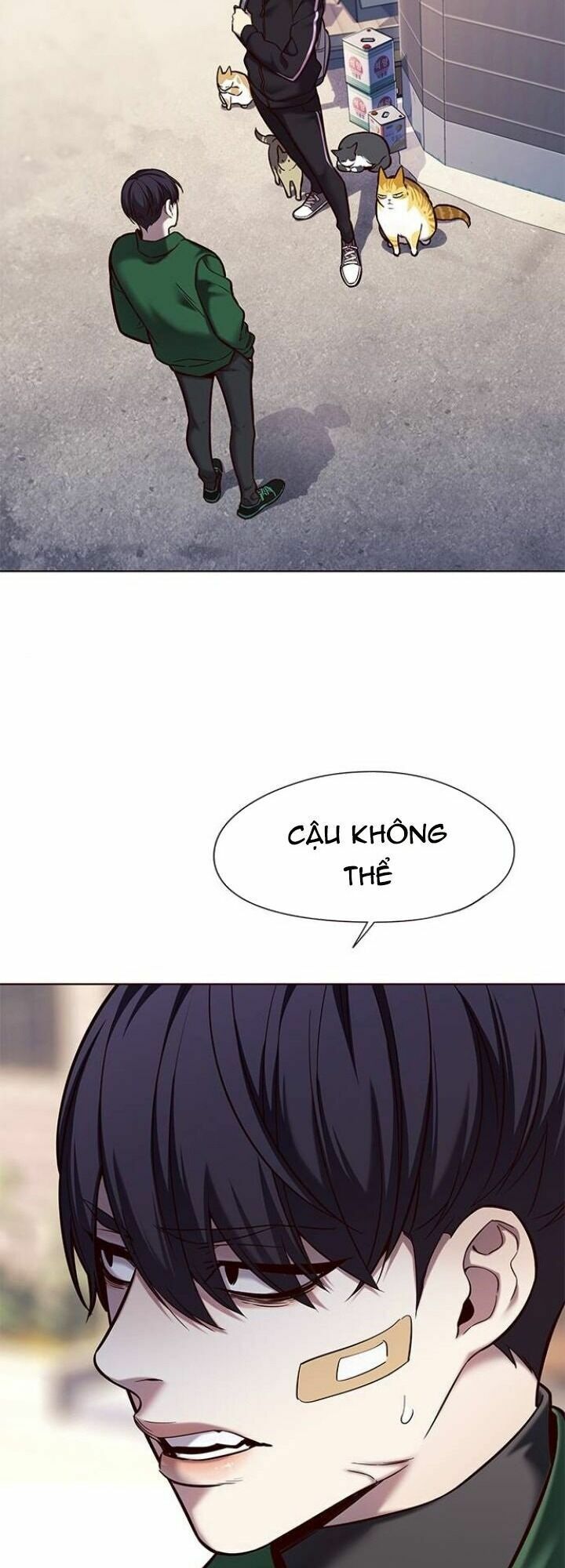 Hoá Thân Thành Mèo: Chapter 117
