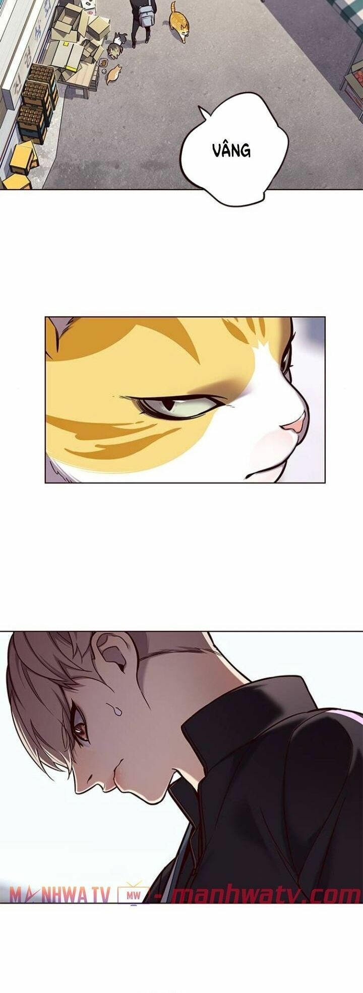 Hoá Thân Thành Mèo: Chapter 117