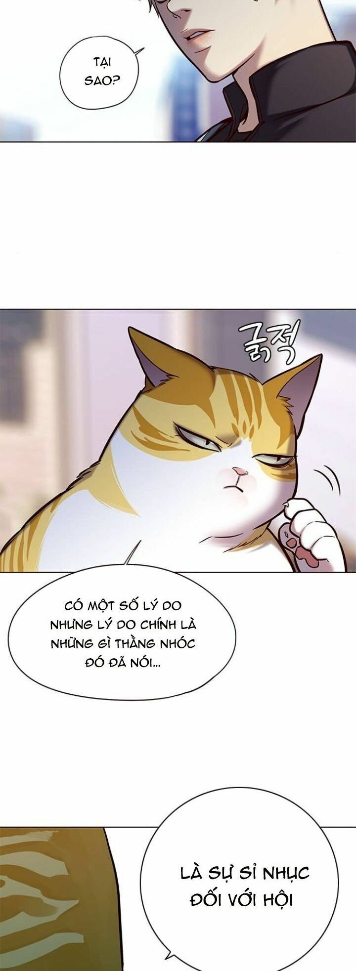 Hoá Thân Thành Mèo: Chapter 117