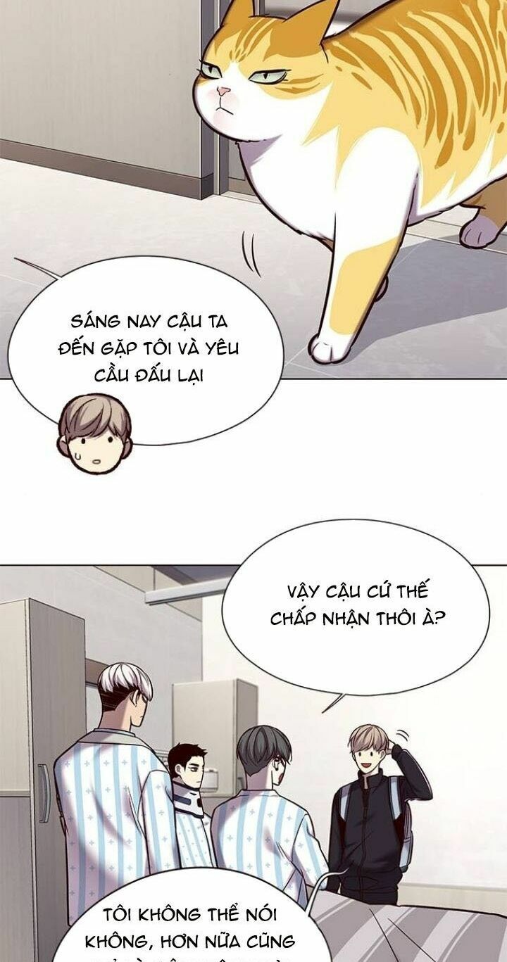 Hoá Thân Thành Mèo: Chapter 117