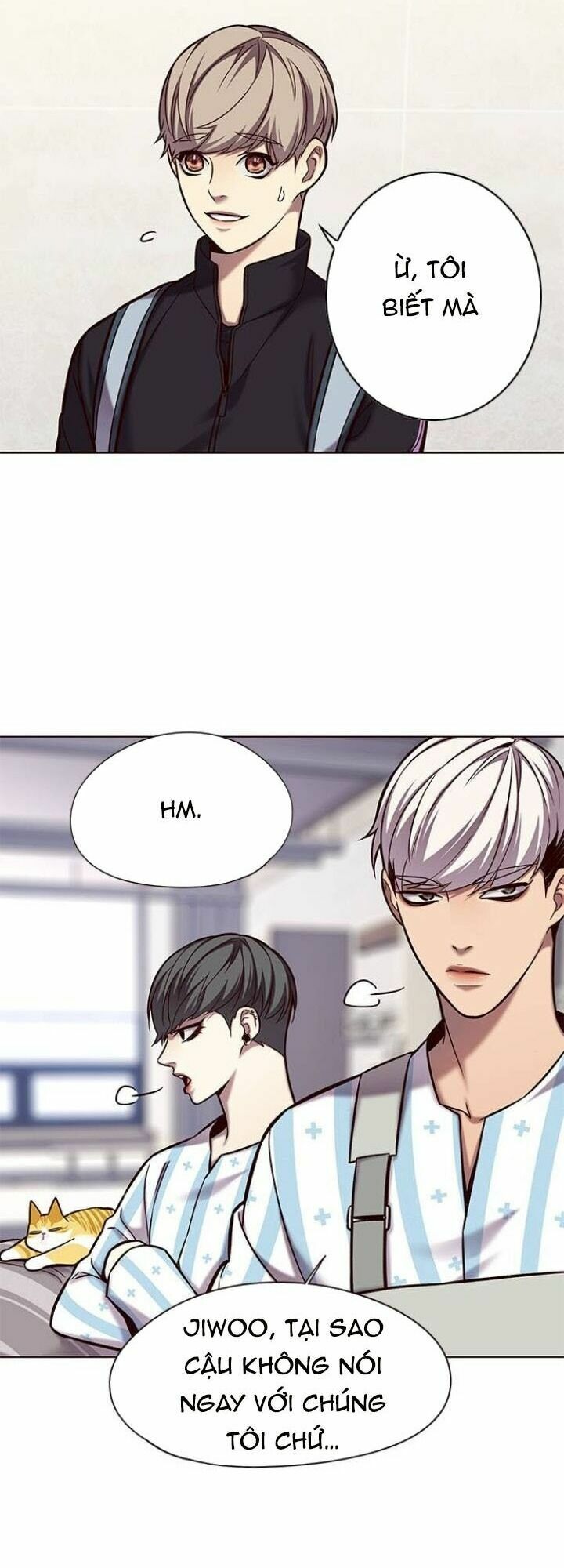 Hoá Thân Thành Mèo: Chapter 117
