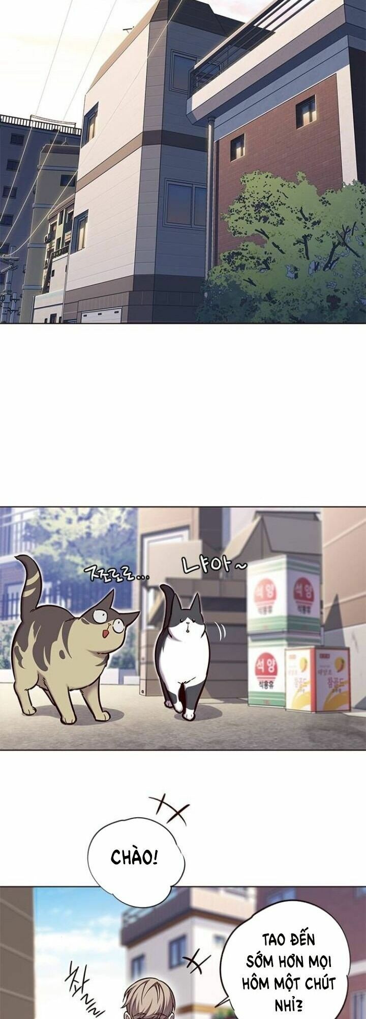 Hoá Thân Thành Mèo: Chapter 117