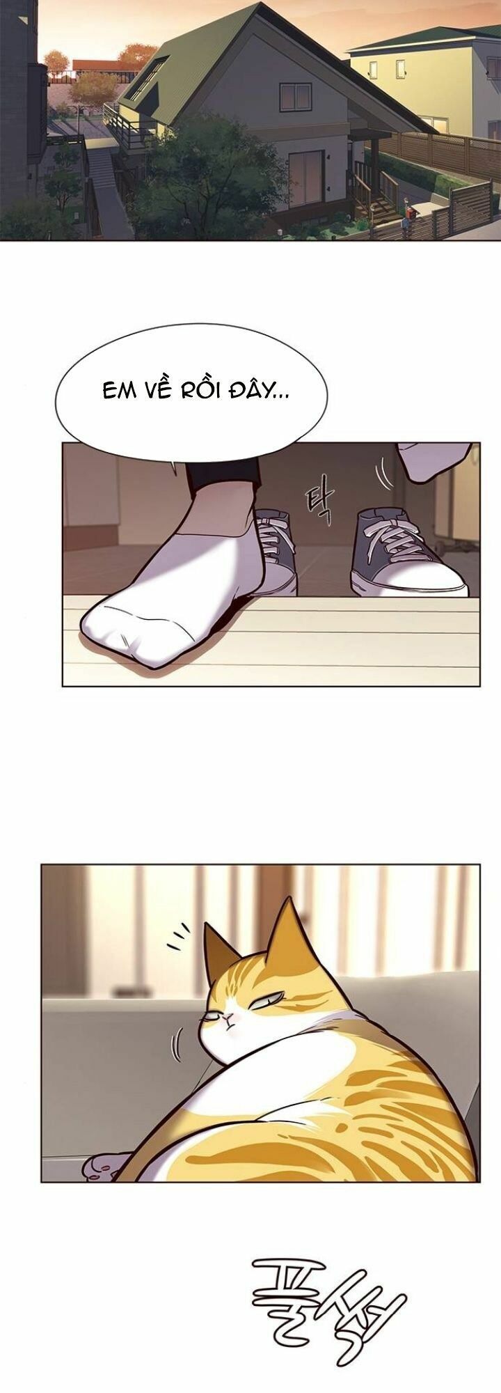 Hoá Thân Thành Mèo: Chapter 118