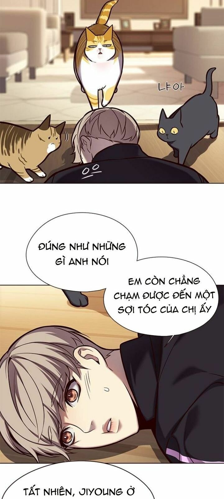 Hoá Thân Thành Mèo: Chapter 118