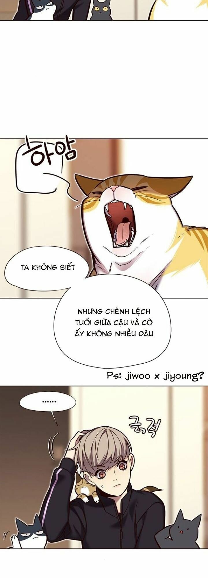 Hoá Thân Thành Mèo: Chapter 118