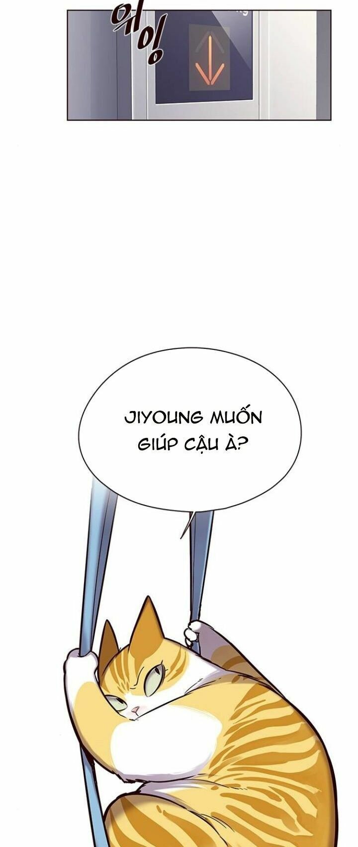 Hoá Thân Thành Mèo: Chapter 118