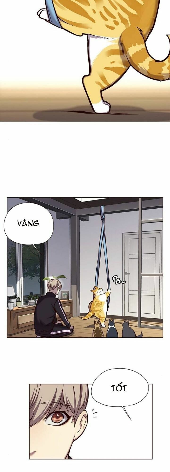 Hoá Thân Thành Mèo: Chapter 118