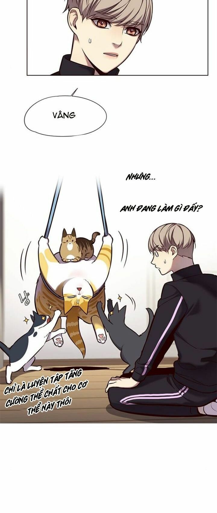 Hoá Thân Thành Mèo: Chapter 118