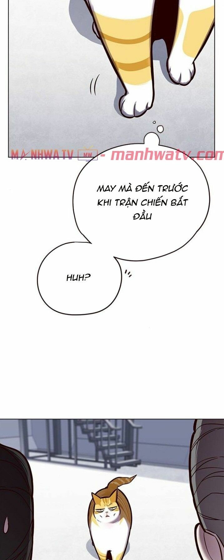 Hoá Thân Thành Mèo: Chapter 119