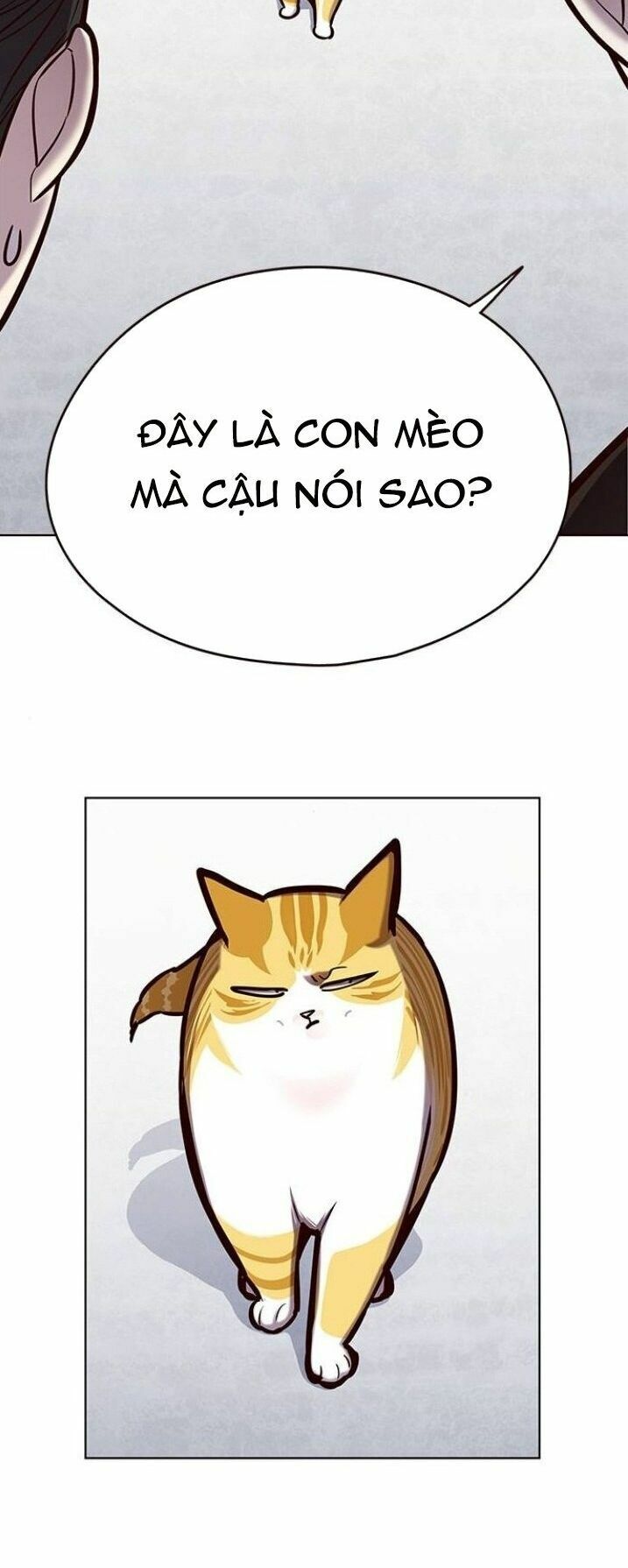Hoá Thân Thành Mèo: Chapter 119