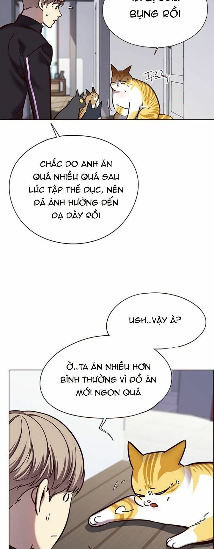 Hoá Thân Thành Mèo: Chapter 119