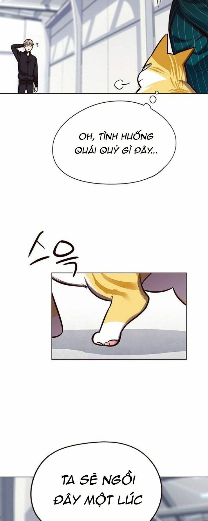 Hoá Thân Thành Mèo: Chapter 119