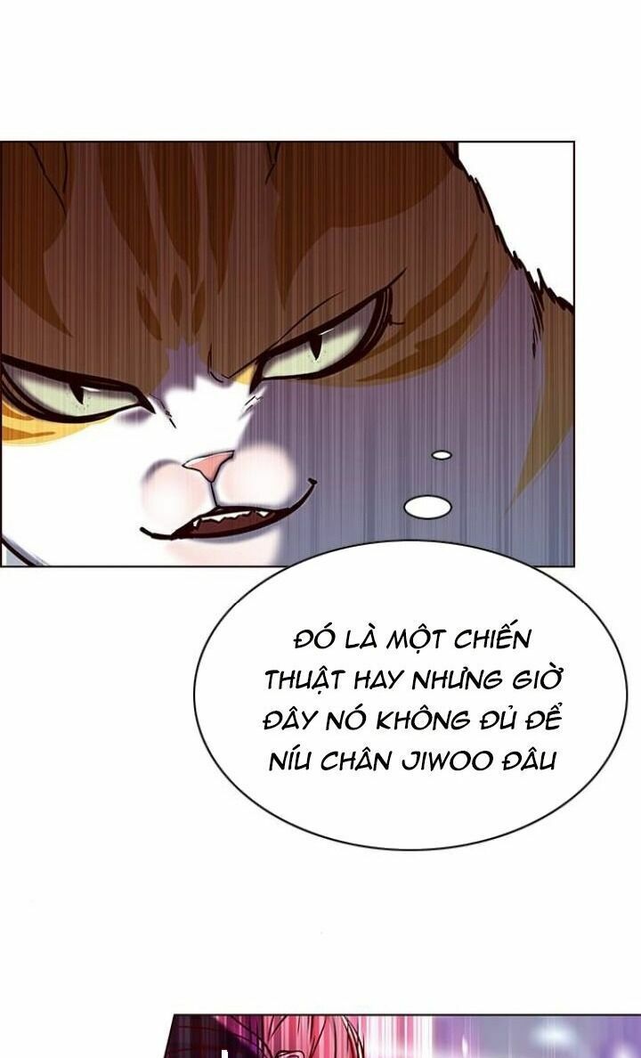 Hoá Thân Thành Mèo: Chapter 119