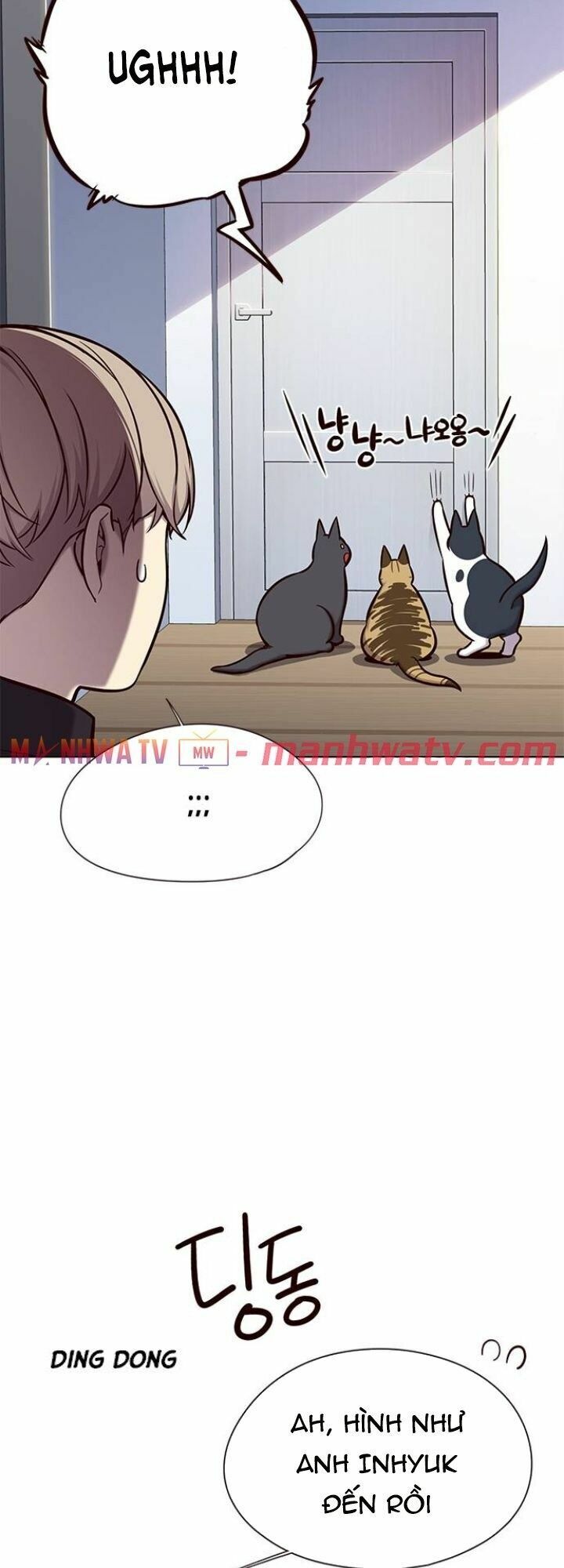 Hoá Thân Thành Mèo: Chapter 119