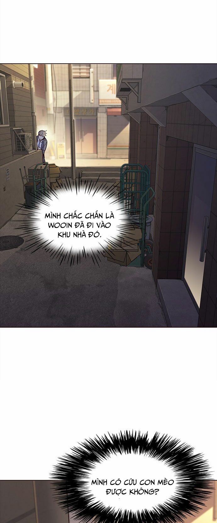 Hoá Thân Thành Mèo: Chapter 12