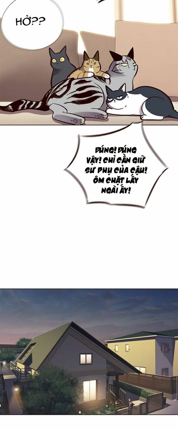 Hoá Thân Thành Mèo: Chapter 123