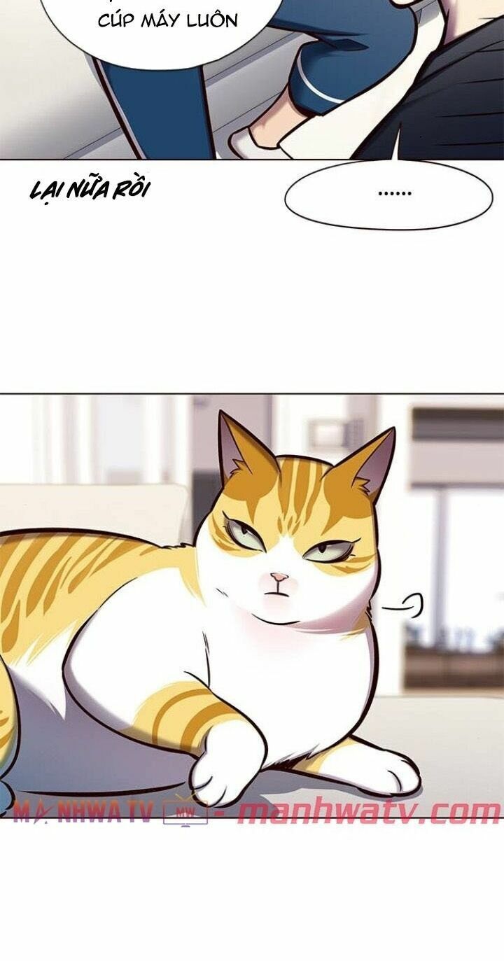 Hoá Thân Thành Mèo: Chapter 124