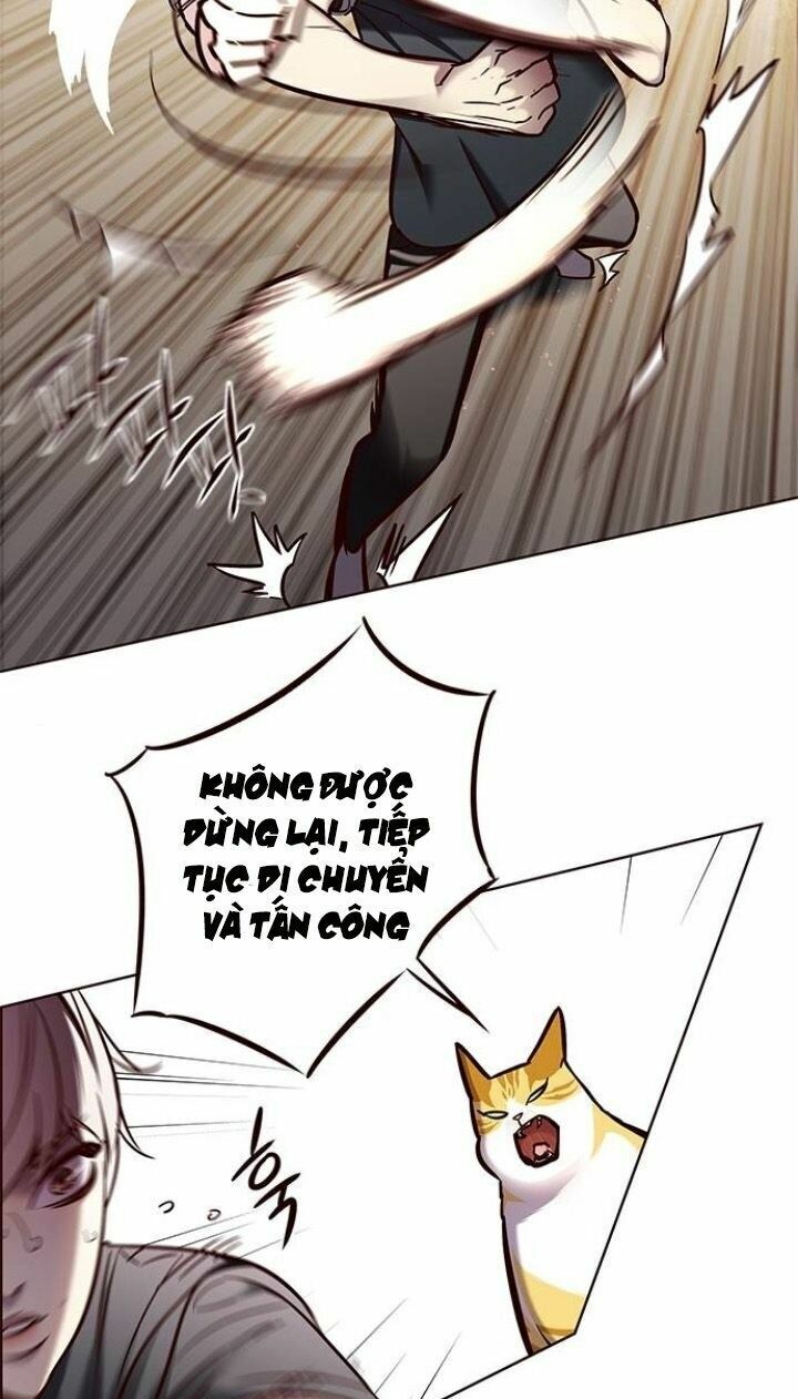 Hoá Thân Thành Mèo: Chapter 124