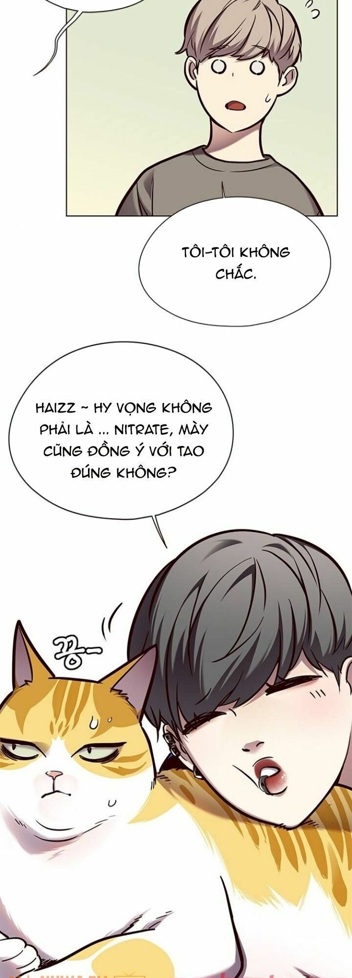 Hoá Thân Thành Mèo: Chapter 124
